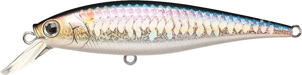 Lucky Craft Pointer 78 SP Suspending 7,8cm DD Deeprunner Made in Japan