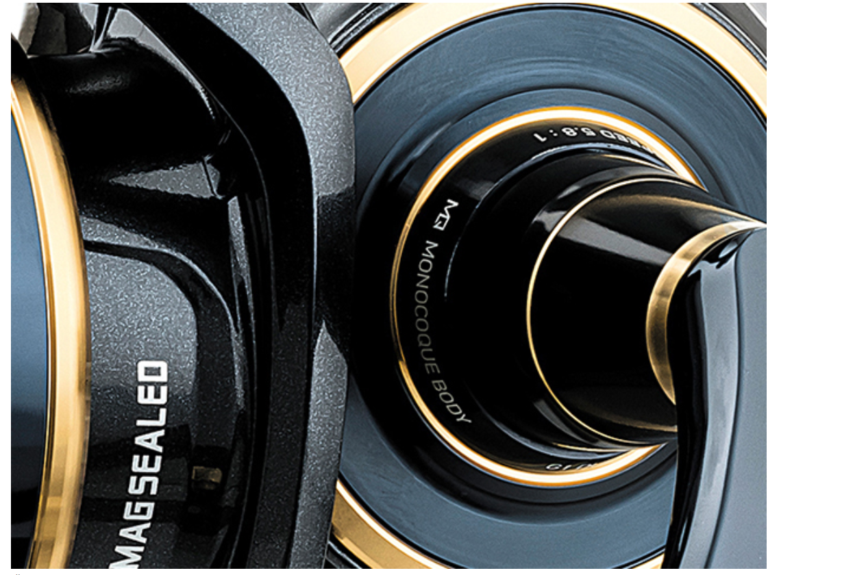 Daiwa Saltiga G 20000-H Meeresrolle