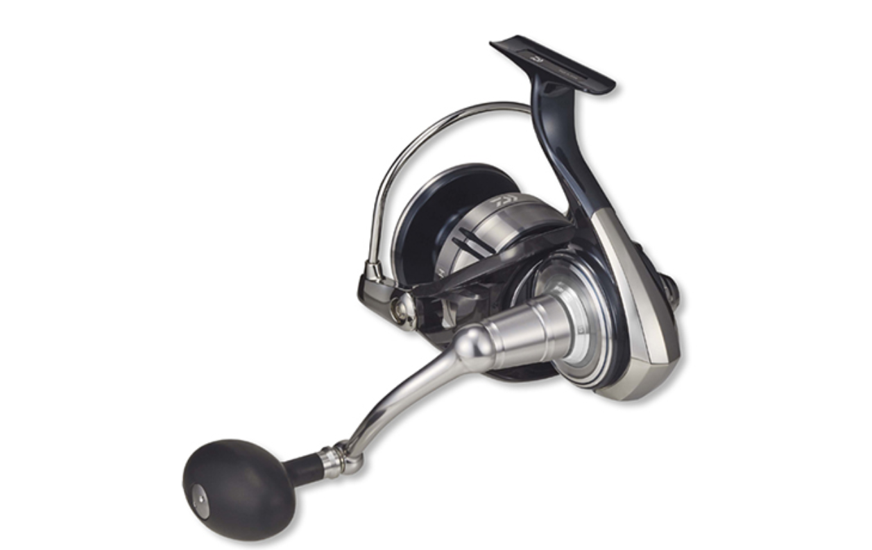 Daiwa Certate SW 5000 6000 8000 10000 Meeresrolle