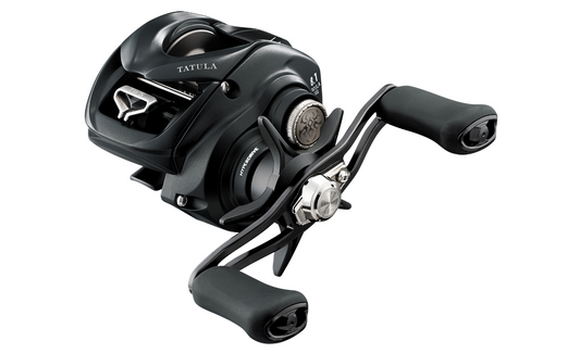 Daiwa 23 Tatula TW 100 L HL XHL Baitcastrolle