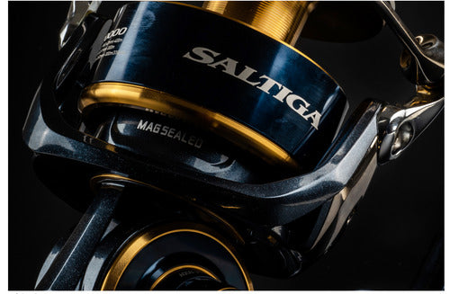 Daiwa Saltiga G 20000-H Meeresrolle