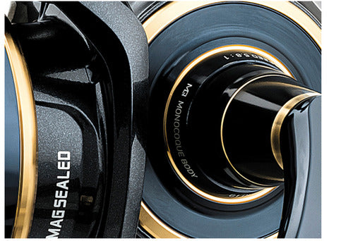 Daiwa Saltiga G 20000-H Meeresrolle