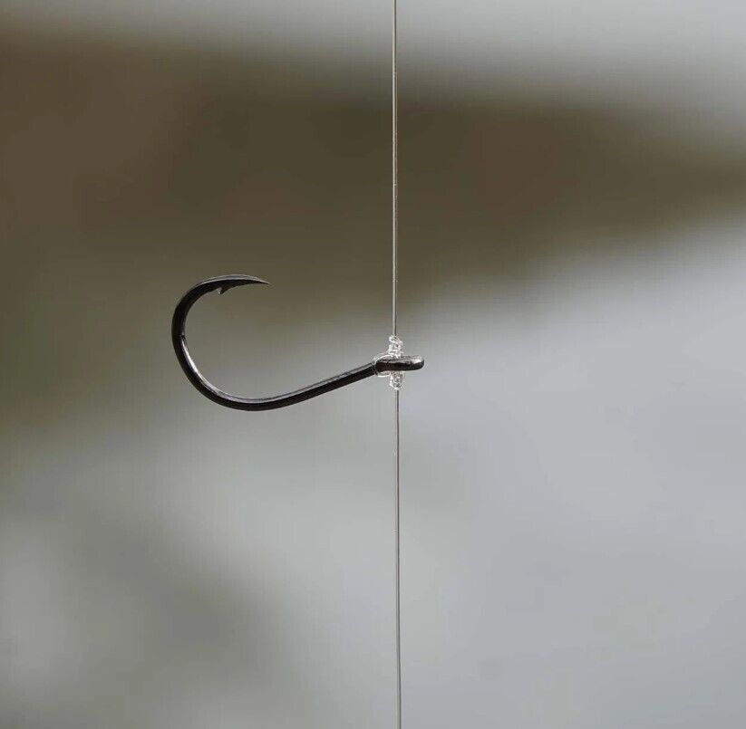 Zeck Predator Drop Shot Nose Hook Haken 5 Stück