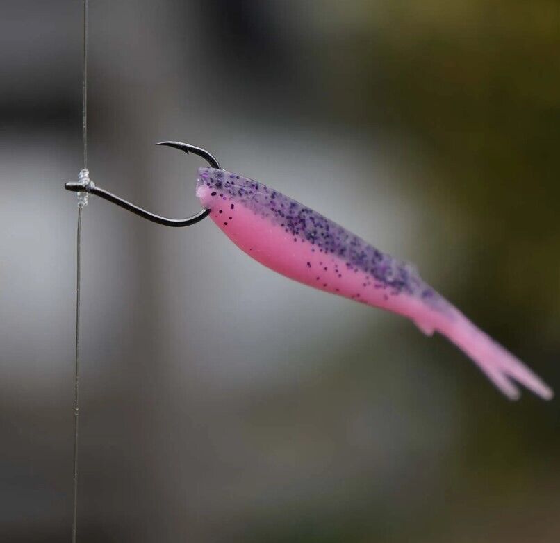 Zeck Predator Drop Shot Nose Hook Haken 5 Stück