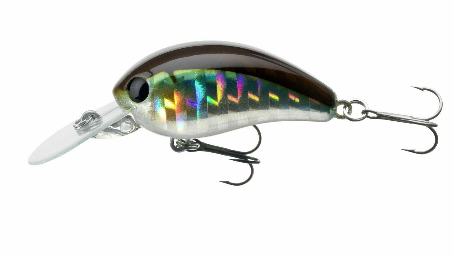 Daiwa Tournament TN Baby Crank F-SR 3,5cm 3,5g verschiedene Farben Wobbler Crank