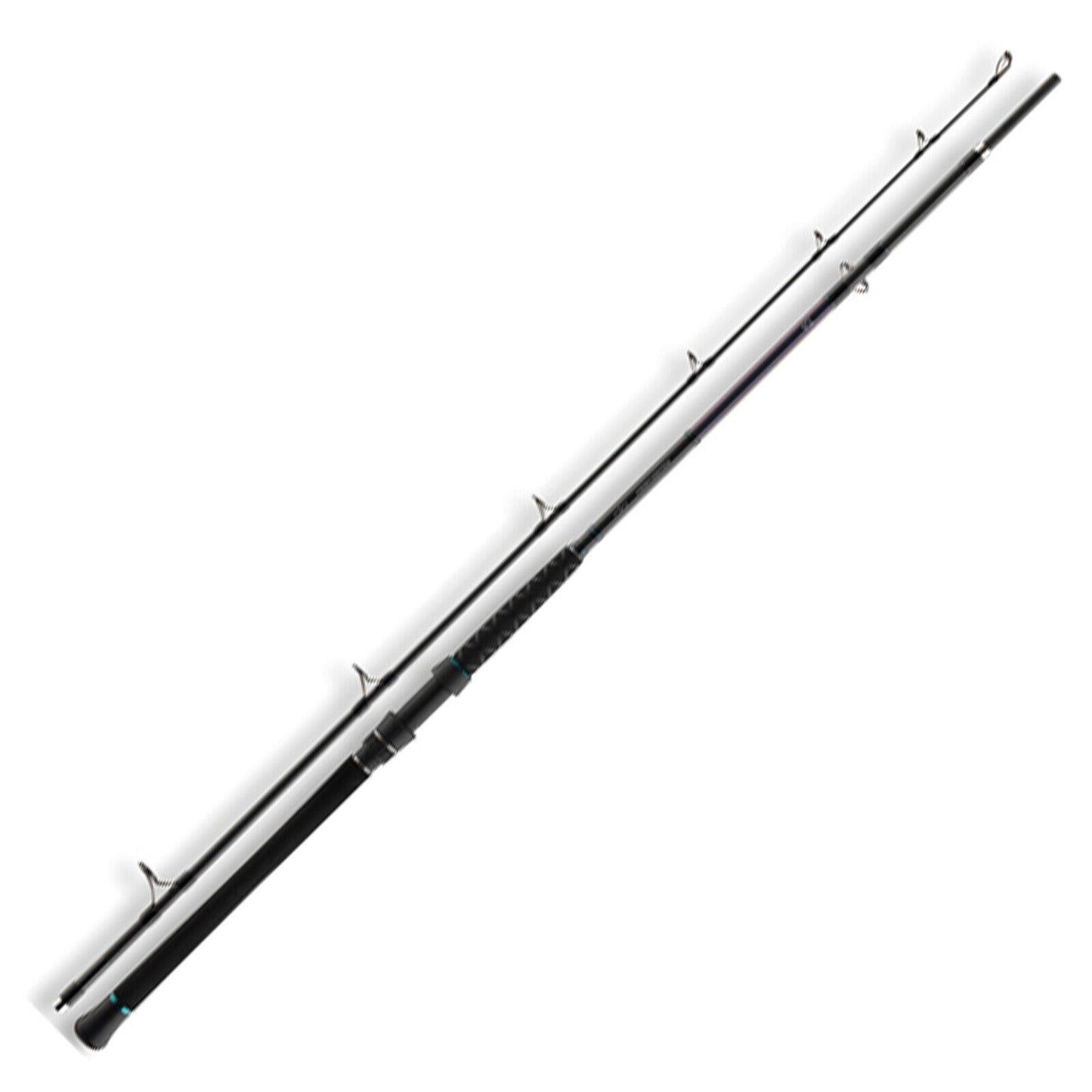 Daiwa Powermesh Catfish Boat 2,55m 100-400g Welsrute Bootsrute Wallerfischen