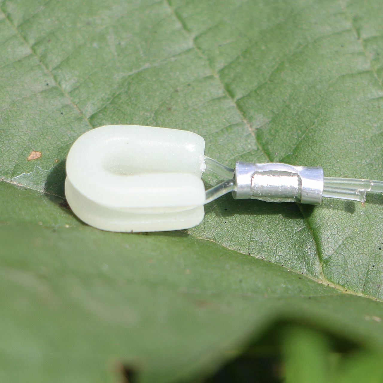 Zeck Cat Fishing Mono Loop Thimble Waller Wels