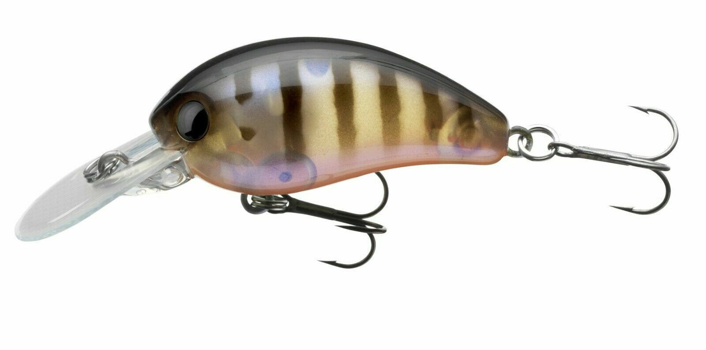 Daiwa Tournament TN Baby Crank F-SR 3,5cm 3,5g verschiedene Farben Wobbler Crank