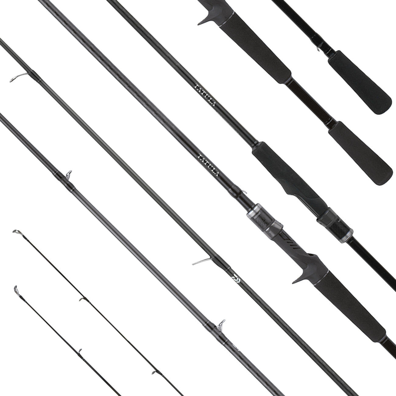 Daiwa Tatula XT Baitcast L M ML MH H Baitcastrute