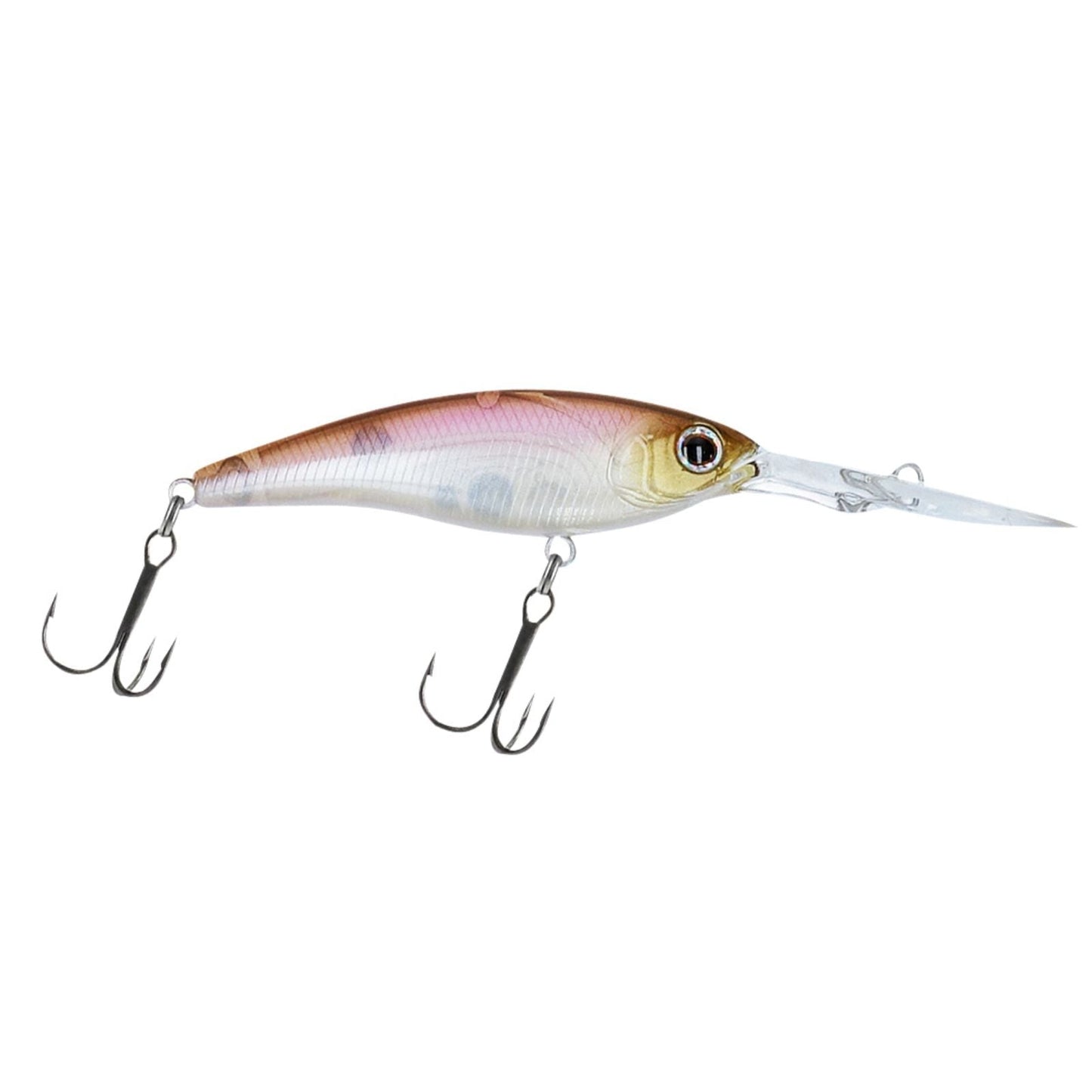 Daiwa Steez Shad 60SP-DR Minnowbait Tauchtiefe -2,5m