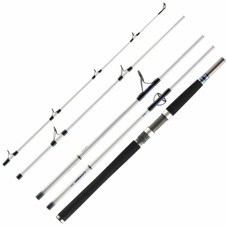 DAIWA Grandwave Travel 2,40m 100-200g Reiserute Meeresrute