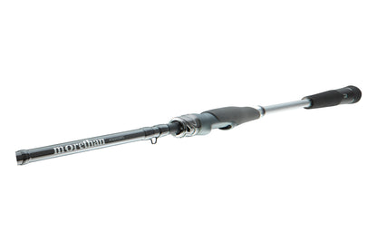 Daiwa Morethan AGS 3,10m / 5-25g Seatrout Meerforellenrute