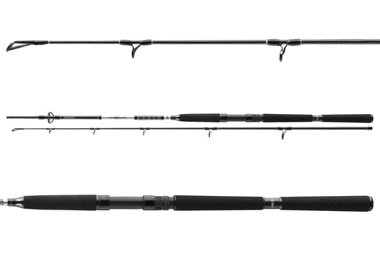 Daiwa BG Pilk 2,10m 40-125g 11928-210 Meeresrute