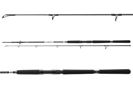 Daiwa BG Boat 2,40m 150-400g 11928-242