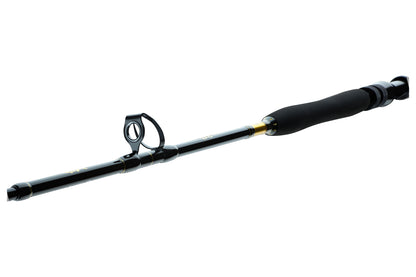 DAIWA BG Big GAME 1,68m 20-30lbs 30-50lbs