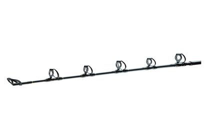 DAIWA BG Big GAME 1,68m 20-30lbs 30-50lbs