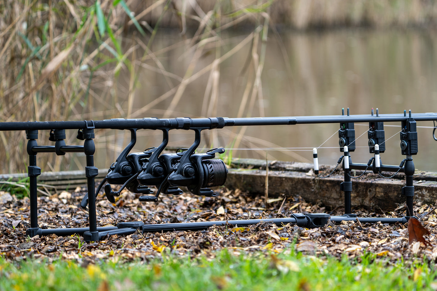 Daiwa Black Widow Low Level 3 Rod Pod Rutenständer | 4-beinig | für 3 Ruten