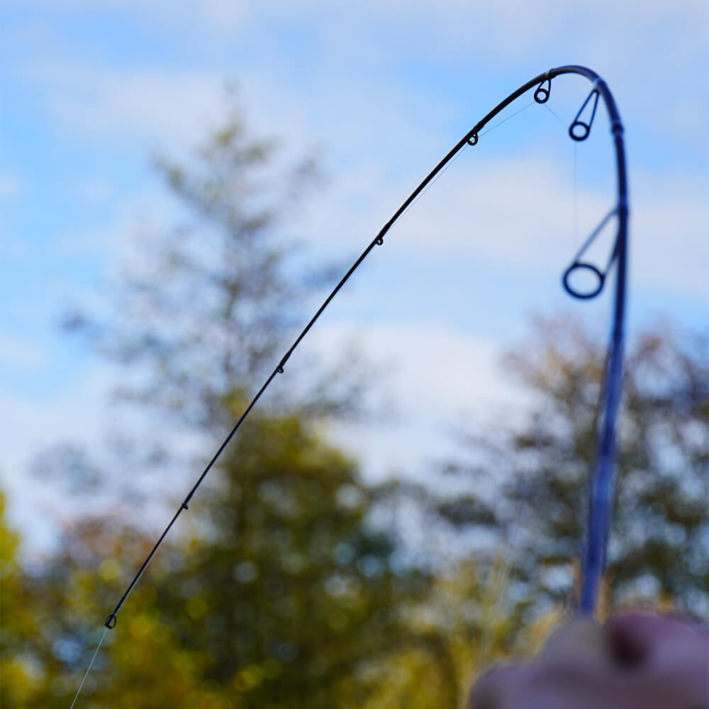 SPRO Trout Master Passion Trout Spoon / Softbait