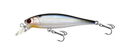 Lucky Craft Pointer 65 und 65DD Twitchbait Barsch Zander Döbel Rapfen