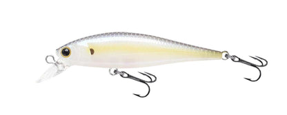 Lucky Craft Pointer 65 und 65DD Twitchbait Barsch Zander Döbel Rapfen