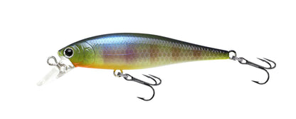 Lucky Craft Pointer 65 und 65DD Twitchbait Barsch Zander Döbel Rapfen