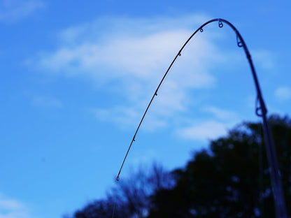 Trout Master Passion Trout Spin SPRO Spinnrute Forellen