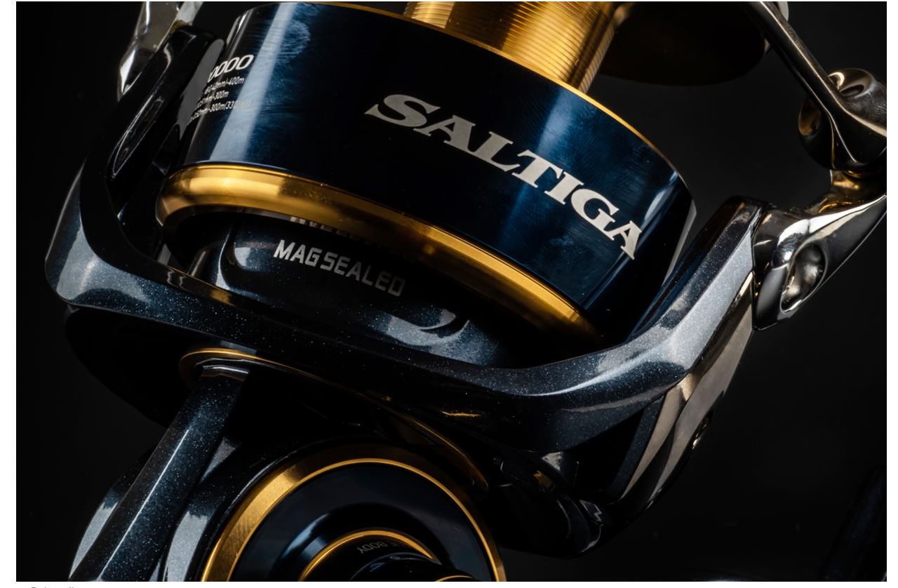 Daiwa Saltiga G 10000-P Meeresrolle