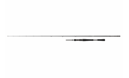 Daiwa Pro Staff Pelagic Baitcast 2,00m 30-80g 11321-196