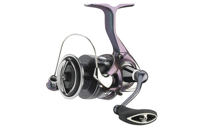 Daiwa 24 Regal LT 1000 2000 3000 4000 5000 Spinnrolle