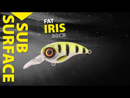 SPRO Fat IRIS 60 CR / 80 CR Crankbait