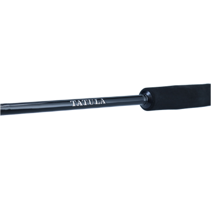 DAIWA Tatula XT SPIN UL L ML MH Spinnrute