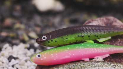 LMAB Bleak Shad KÖFI 9 cm 12 cm 15cm 18cm - Gummifisch für Barsch Zander