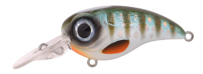 SPRO Fat IRIS 60 CR / 80 CR Crankbait