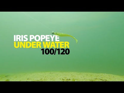 Spro Iris Popeye UV Shad versch. Größen und Farben Gummifische Raubfischköder