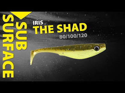 Spro Iris The Shad UV 8, 10, 12cm Barsch Zander Hecht Gummifisch