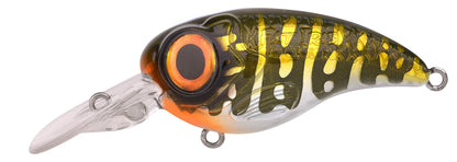 SPRO Fat IRIS 60 CR / 80 CR Crankbait