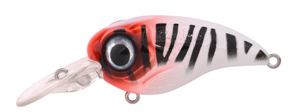 SPRO Fat IRIS 60 CR / 80 CR Crankbait